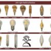 Royal Designs 16 Pack Long Life Appliance Utility Light Bulbs 15-Watt Clear A-15 - Image 8